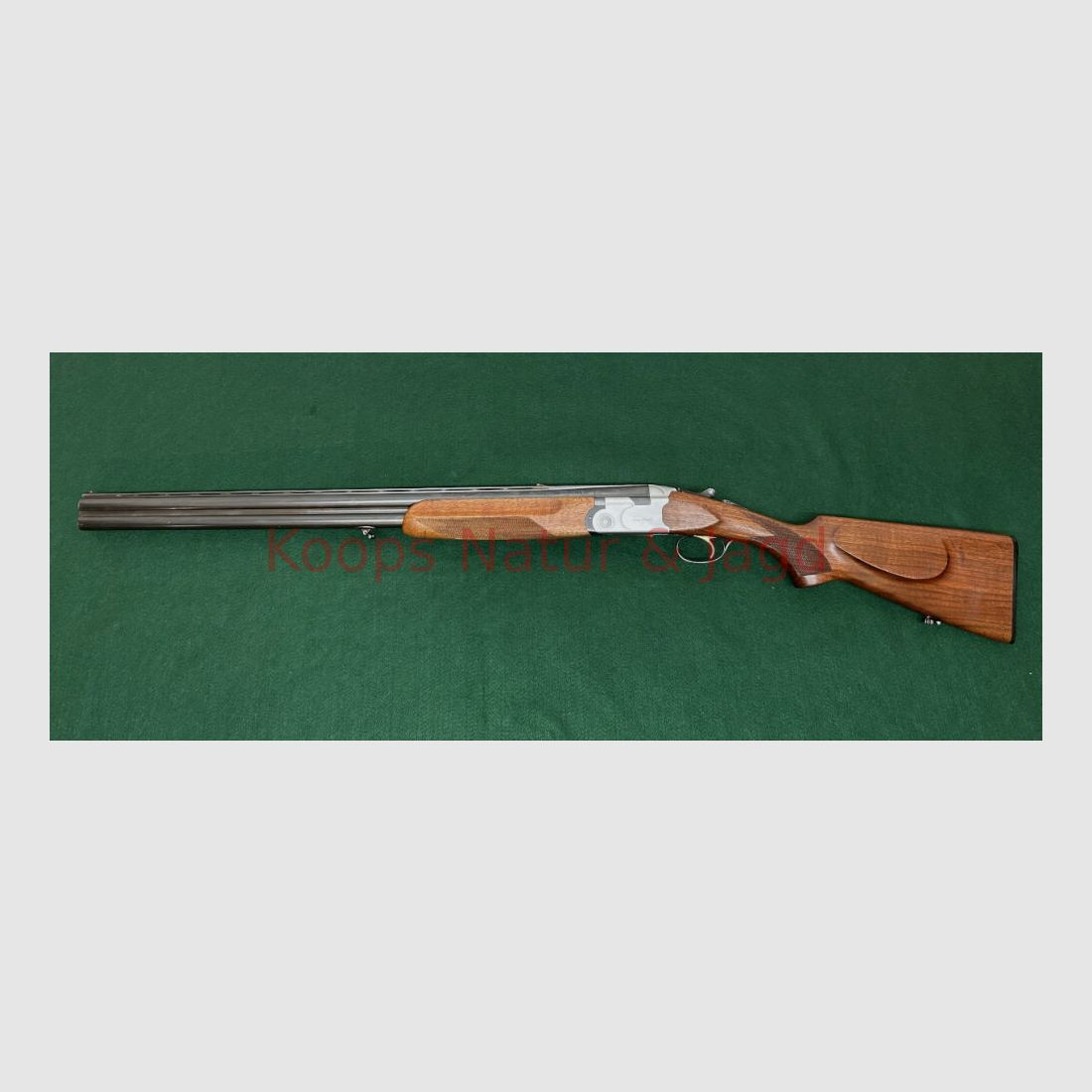 Sauer/Beretta