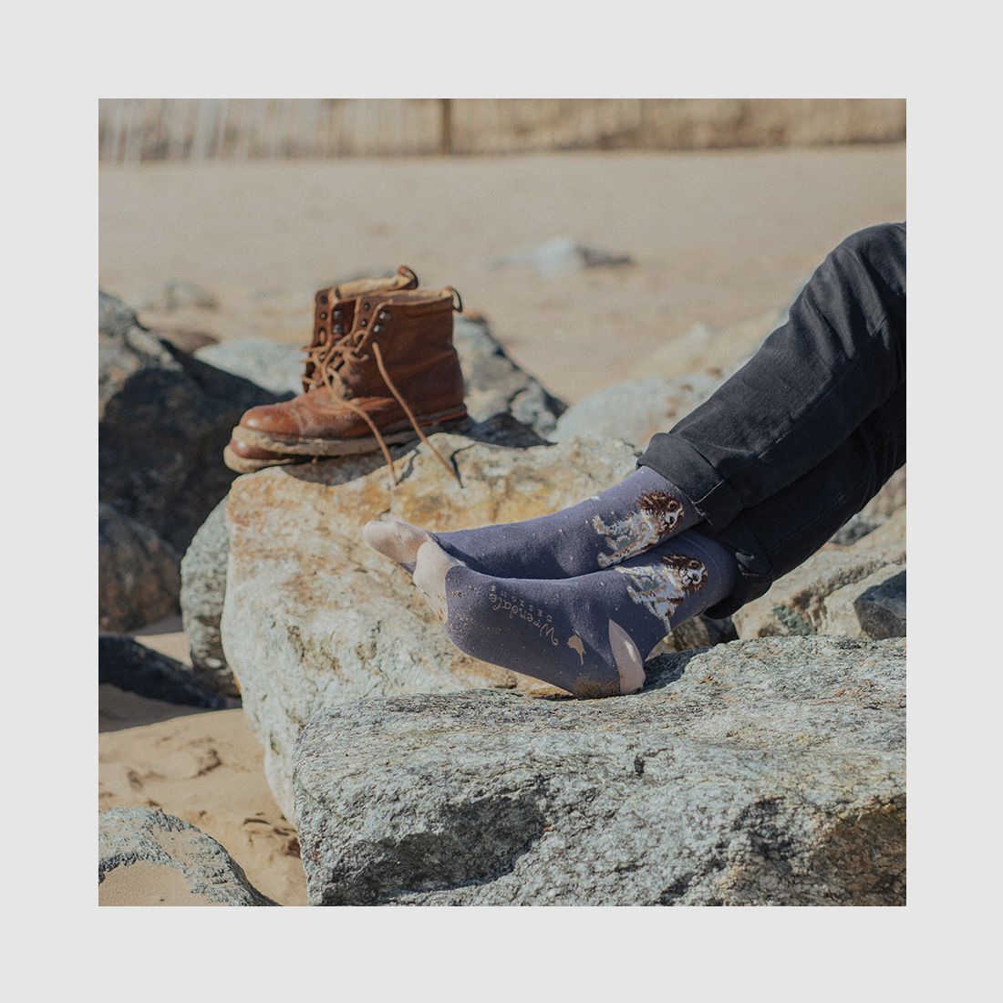 Wrendale Herren - Socken "Willow" mit Spaniel