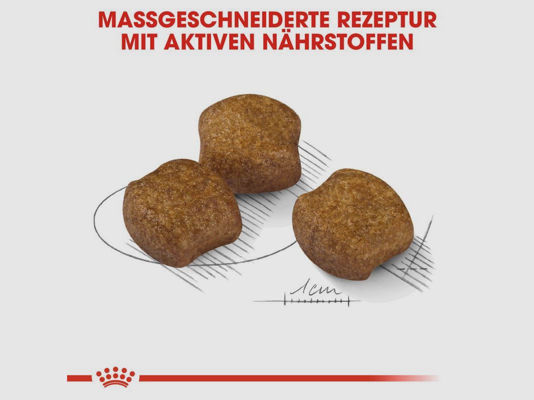 ROYAL CANIN Mittelgroße Hunde Trockenfutter Dental Care Medium für empfindliche Zähne 10 Kg