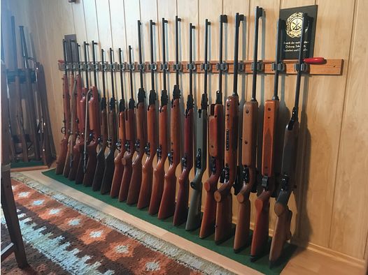 Collection d'armes à air comprimé Haenel