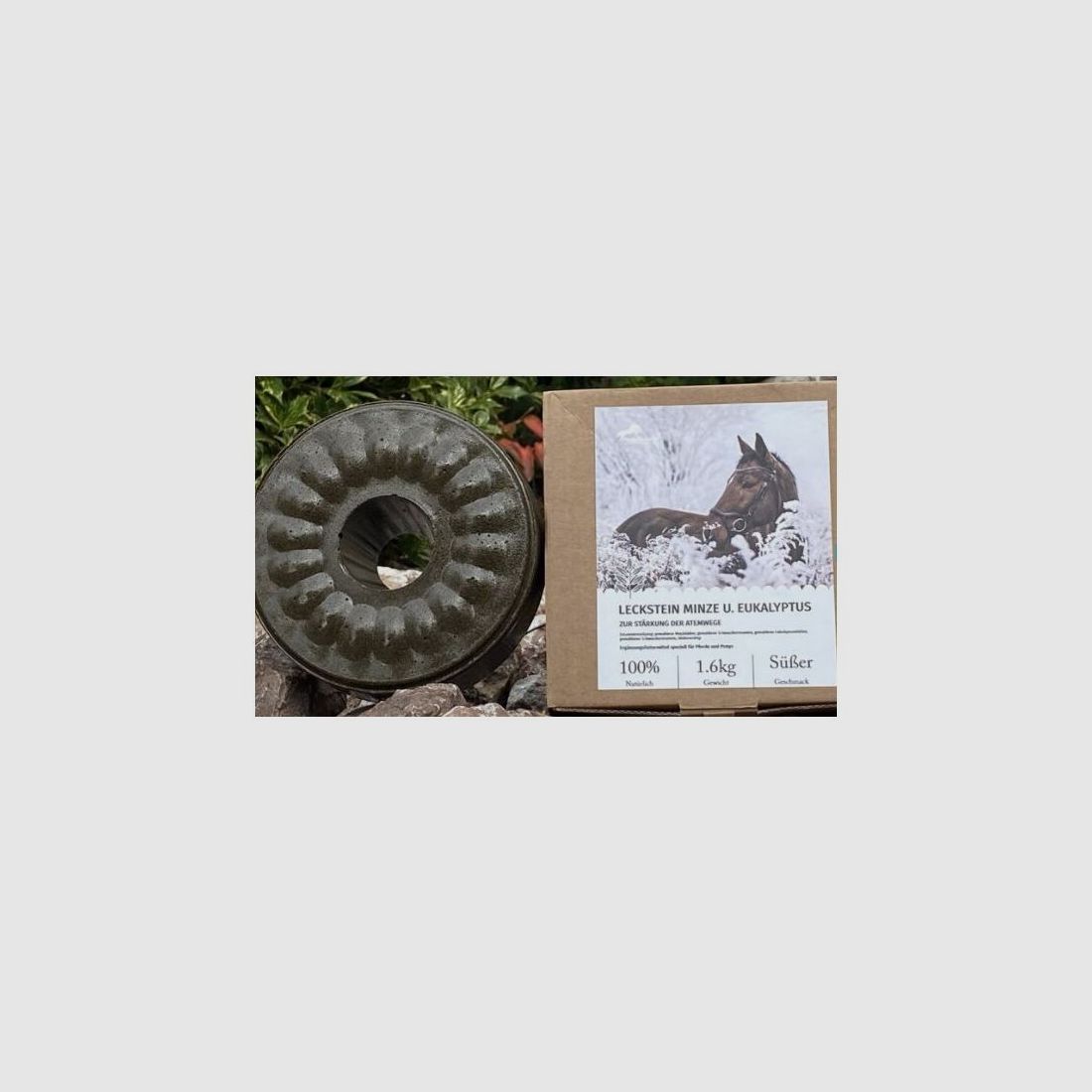 Wildlutscher Leckstein für Pferde und Ponys Minze und Eukalyptus - Atemwege 1,6 kg