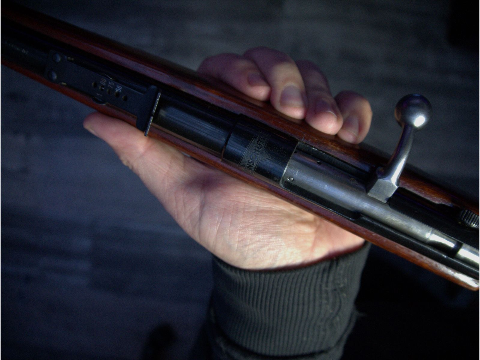 Anschütz Einzellader .22lfb