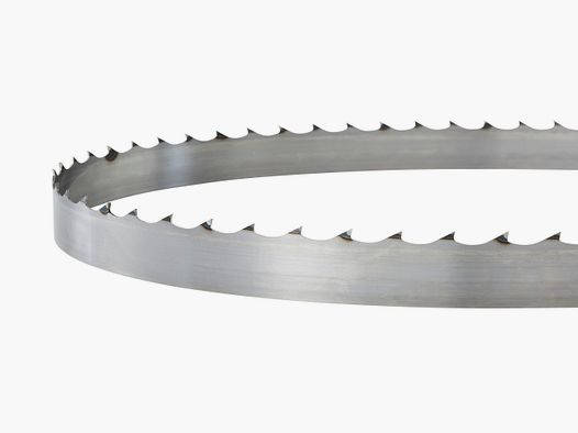 Wintersteiger Sgen Bandsgeblatt X-Cut 10