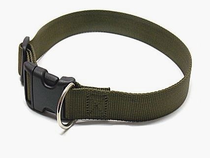 COLLARE BUFFETTERIA 37375 Collier en Nylon Réglable