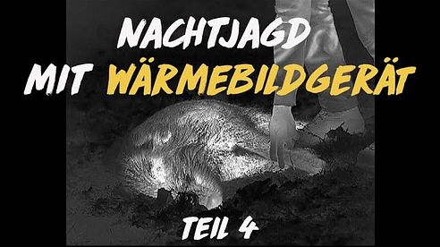 Nachtschicht: Jagd mit der Wärmebildkamera #4