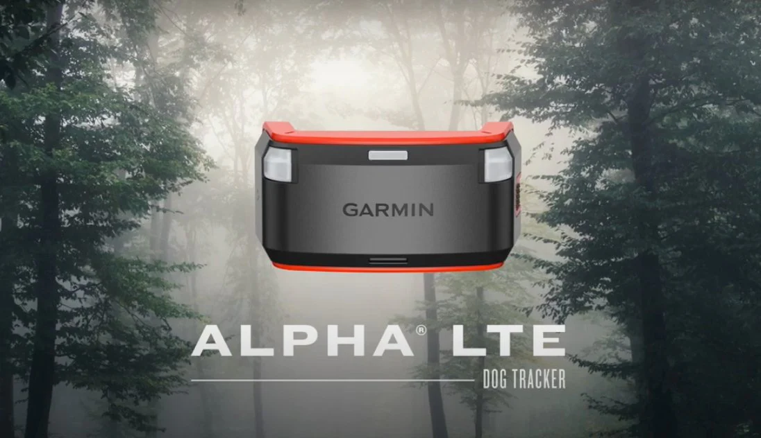 Collare GARMIN ALPHA LTE