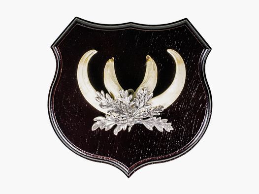 Fritzmann – Trophäenhalter aus Eiche für Wildschweinzähne (#01216)