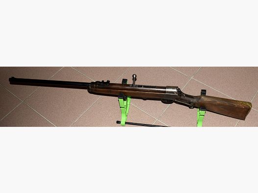 Reserved .. Air rifle Haenel 310 rider carbine conversion with 12-round magazine