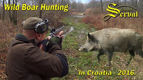 Wild boar hunting in Croatia 2016 - part 2 - Drückjagd in Kroatien 2016