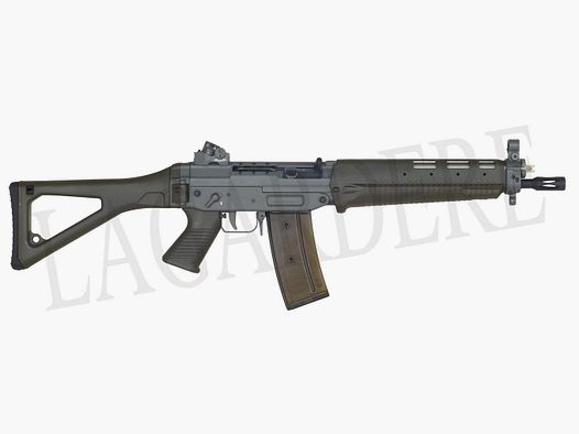 SAN SG 551-1 SB DIOPTRE HA VERT (FUCILE D'ASSALTO SEMIAUTOMATICO)