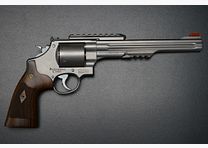 Smith & Wesson 629-8 PC
