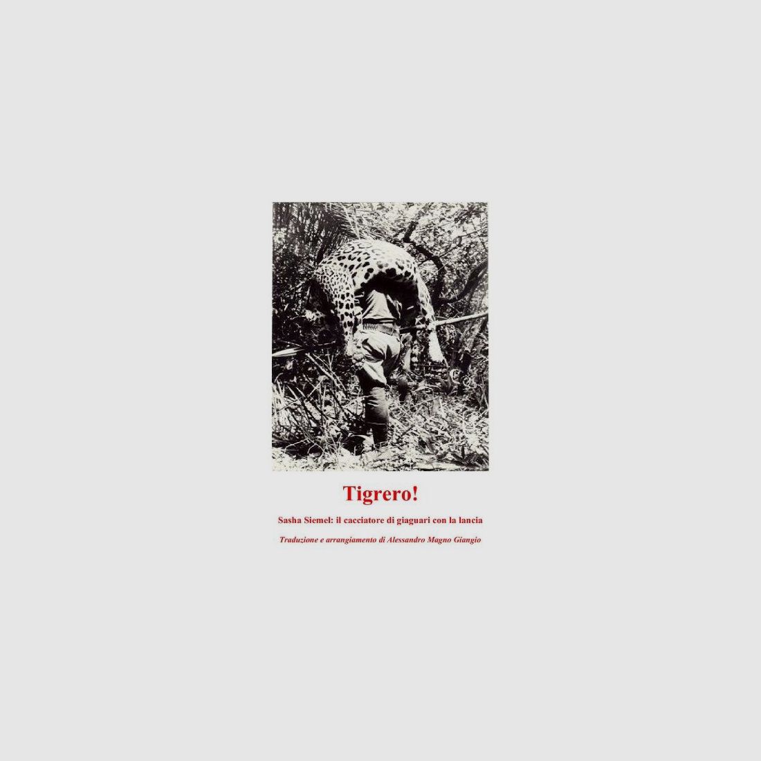 Tigrero Di Sasha Siemel