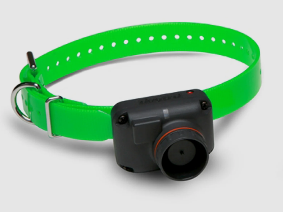 Zusätzliches Halsband Dogtra RB1000, Bild 1 von 2