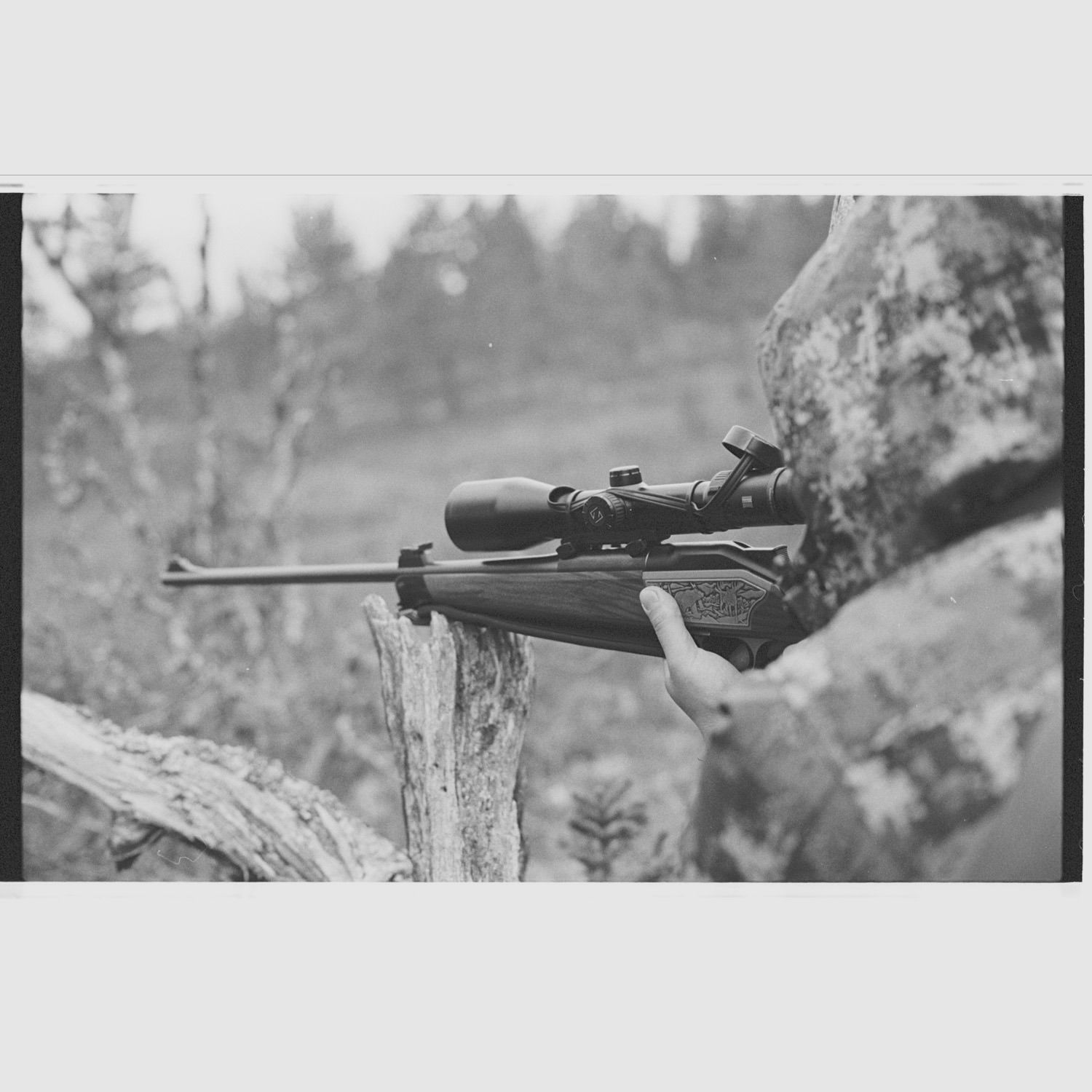Blaser R8 Luxus Sondergravur – 10,3x60R – Zeiss Victory HT 3-12x56