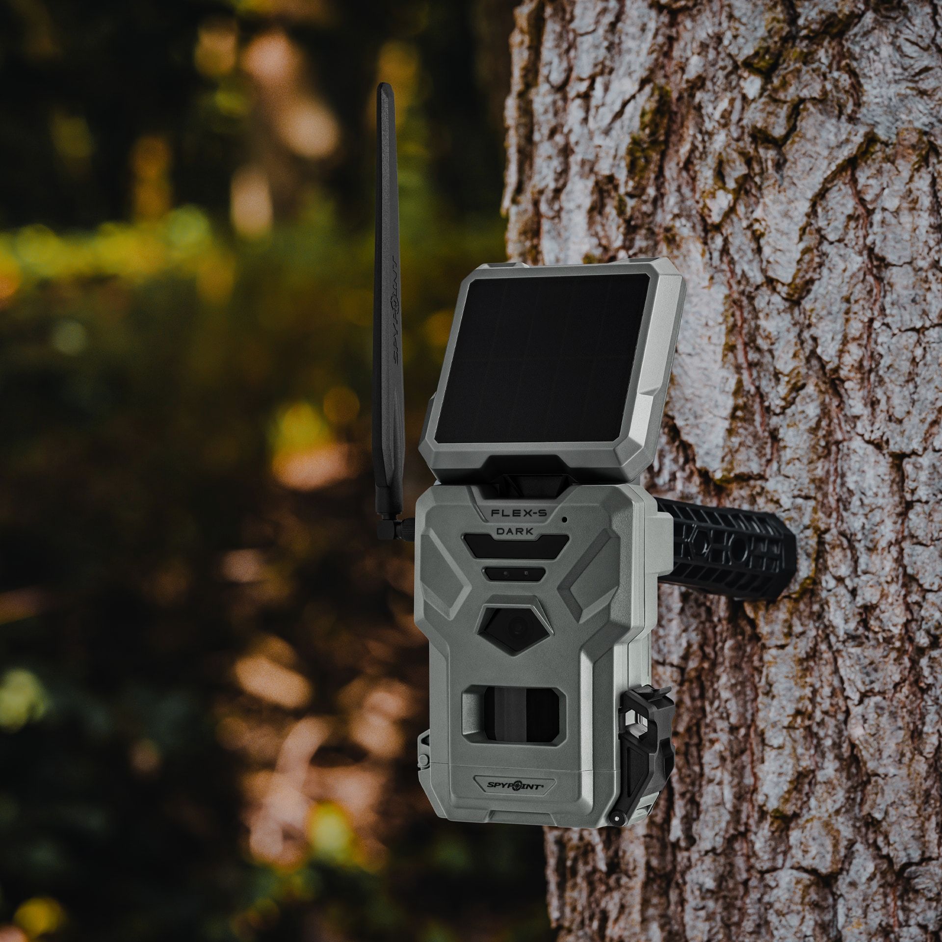 FOTOBOXEN FLEX-S-DARK +EINGESCHLOSSENE SPEICHERKARTE SPYPOINT, Bild 7 von 7