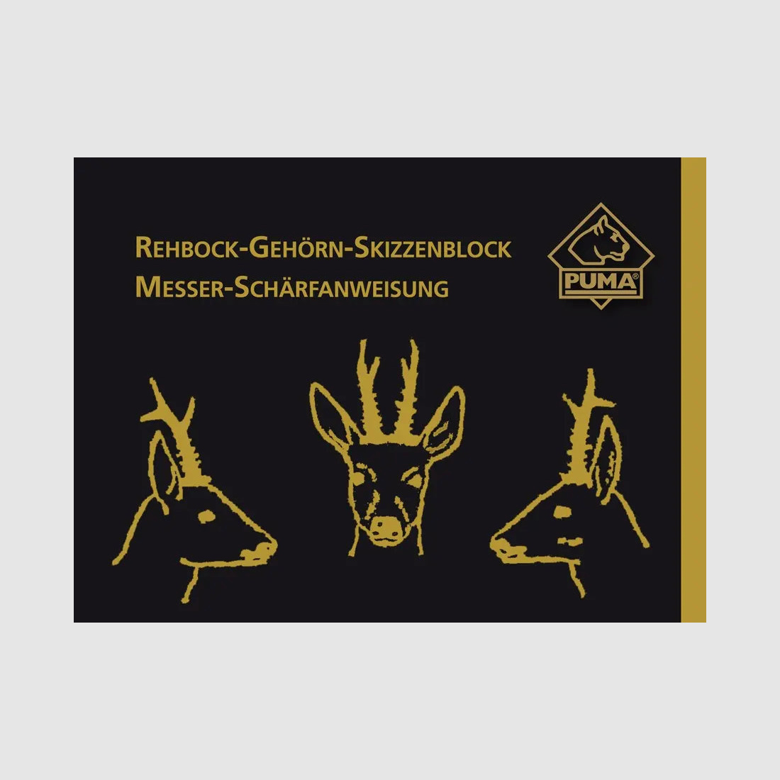 PUMA Szkicownik z porożem sarny