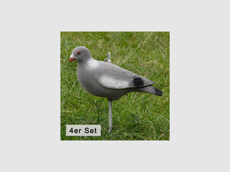 il Lago Passion Ringeltaube Vollschale beflockt (4er Set) |
