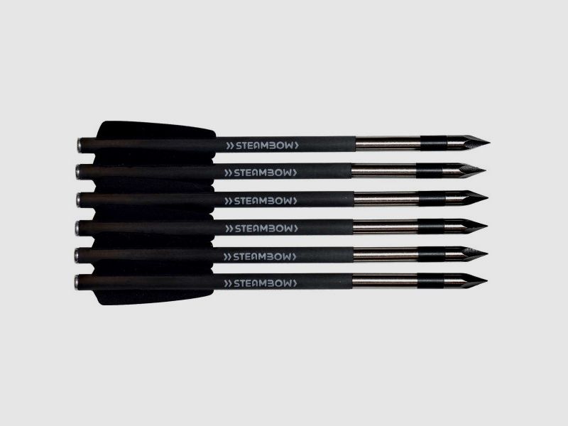 STEAMBOW AR-6 STINGER 2 BODKINPFEILE - BLK - 6 STÜCK