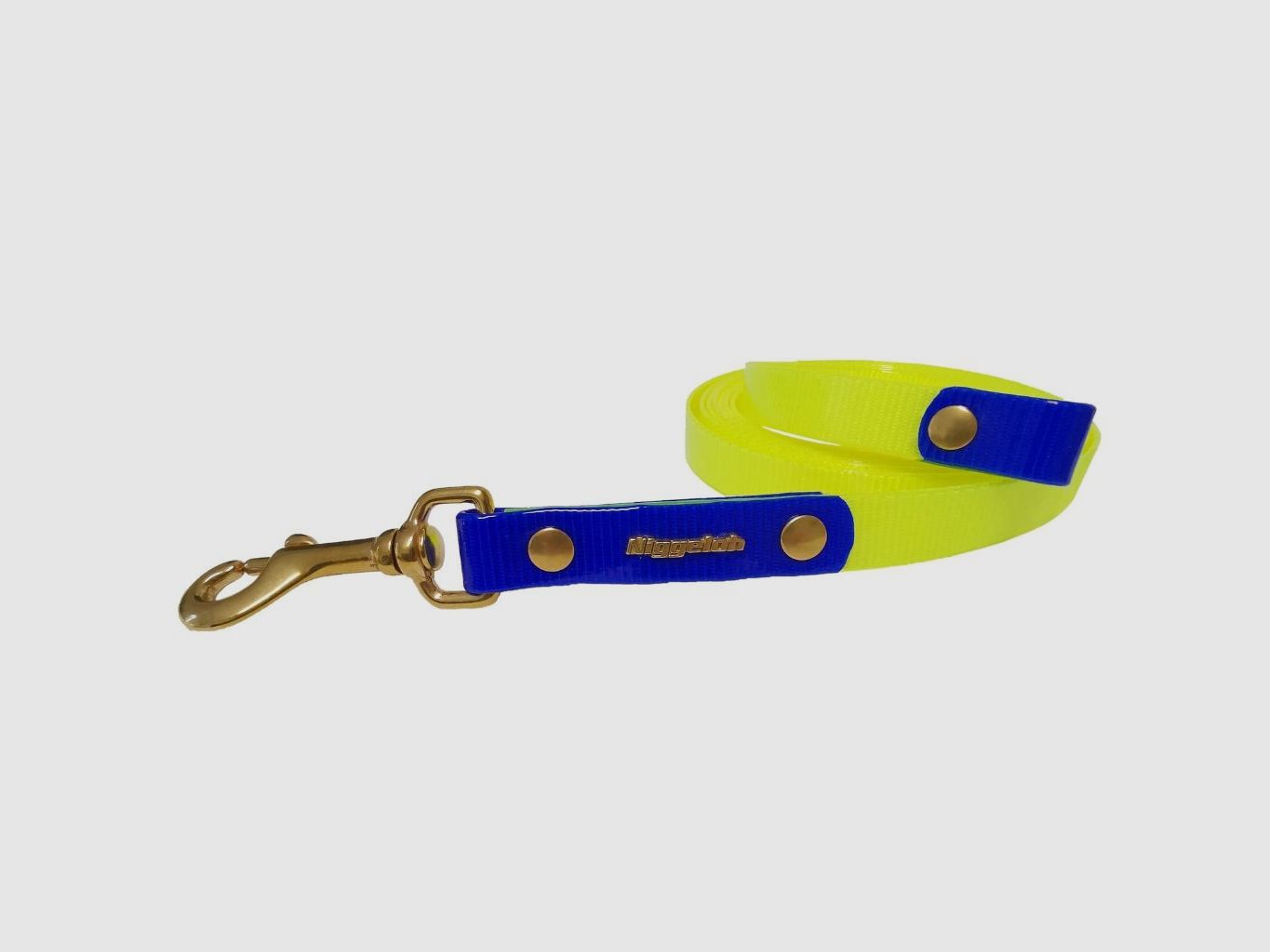 BioThane® Niggeloh Glossy Strap (Neon Orange)
