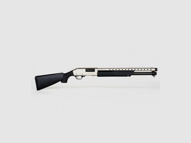 FABARM SDASS Trainer