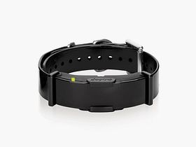 Dogtra Zusatzhalsband für ARC 800