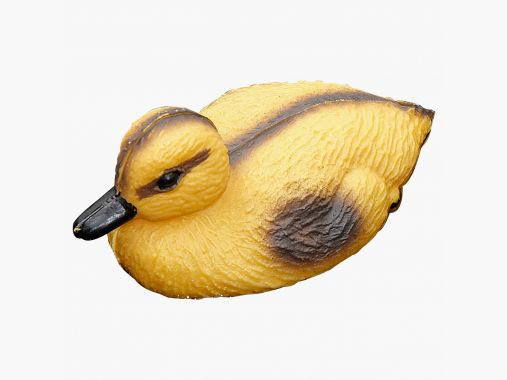 the Lake Passion Lock Chick |