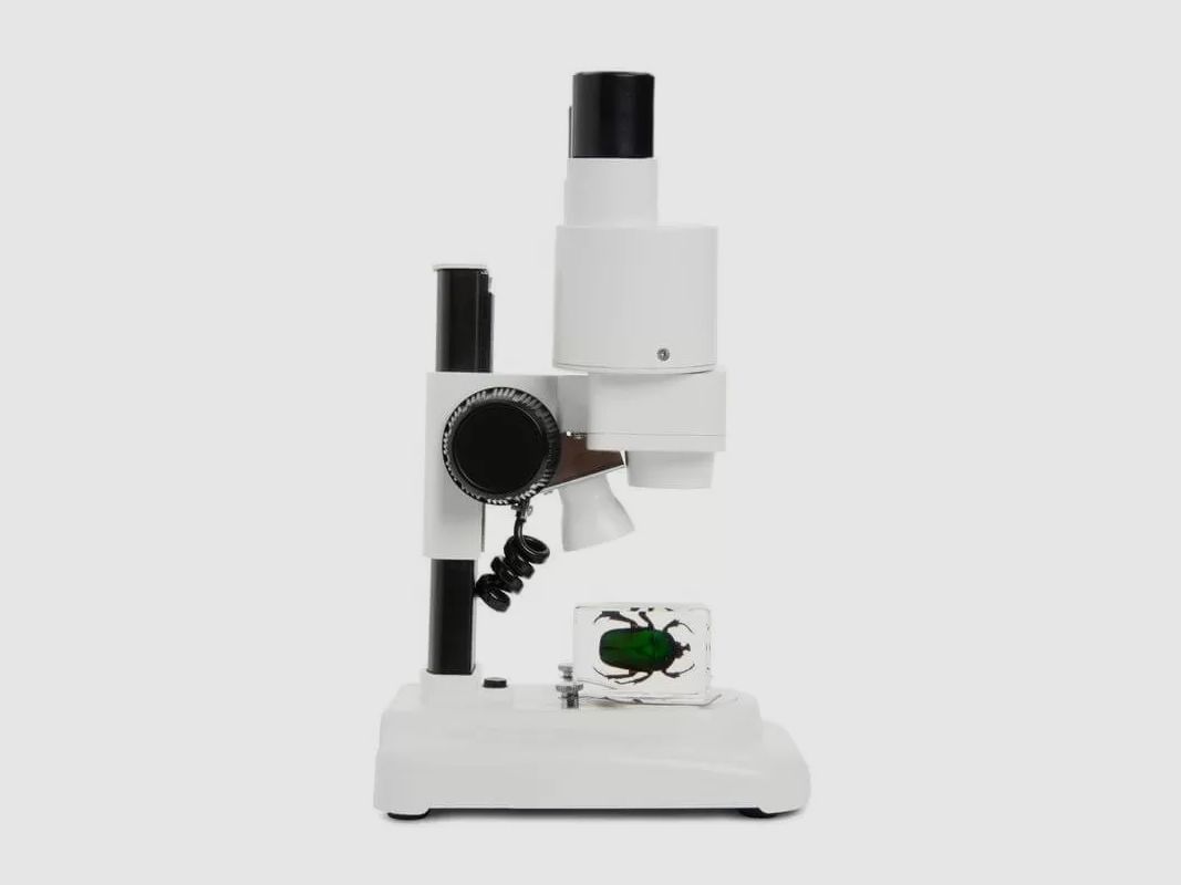 Celestron Mikroskop LABS S20, Bild 7 von 20