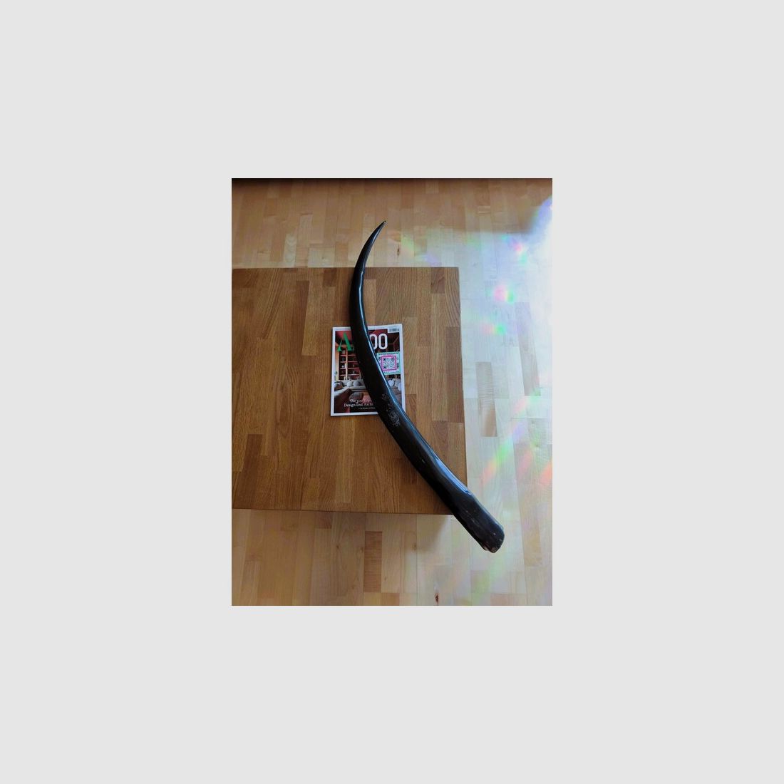 Longhorn Thai Buffello XXL Wasserbüffel Horn poliert 117cm