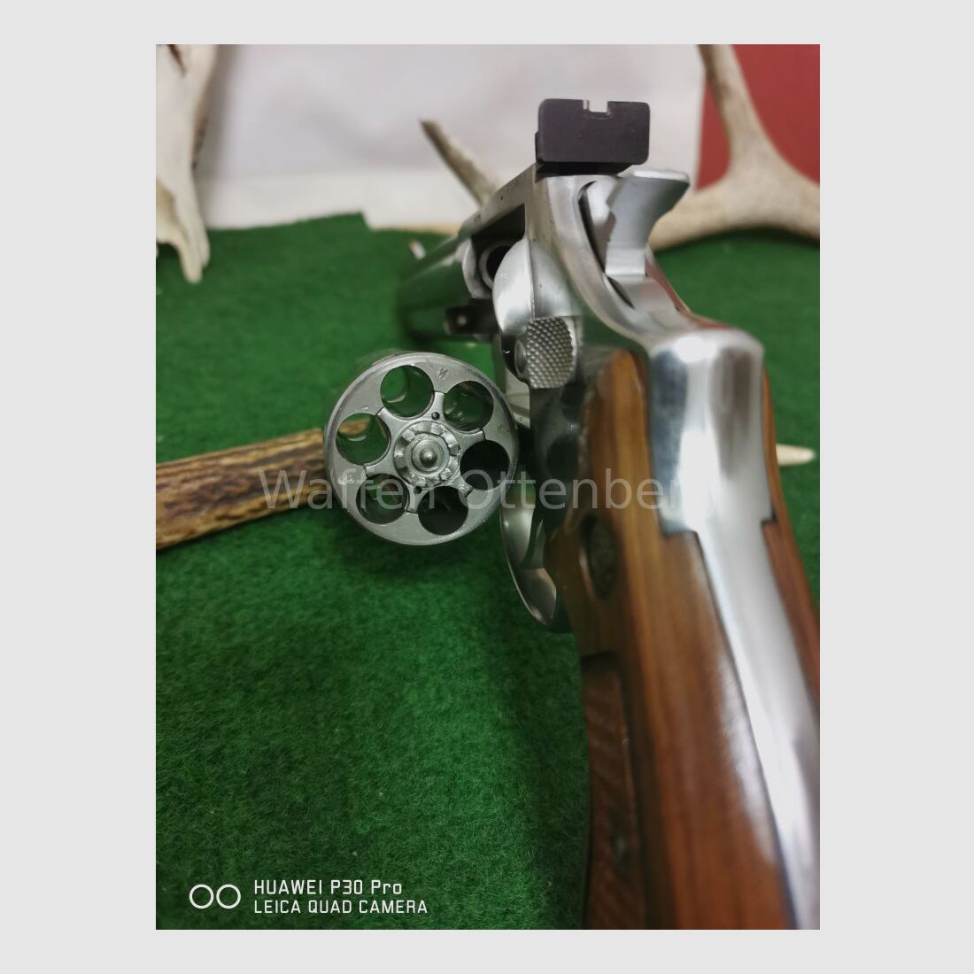 Taurus 669