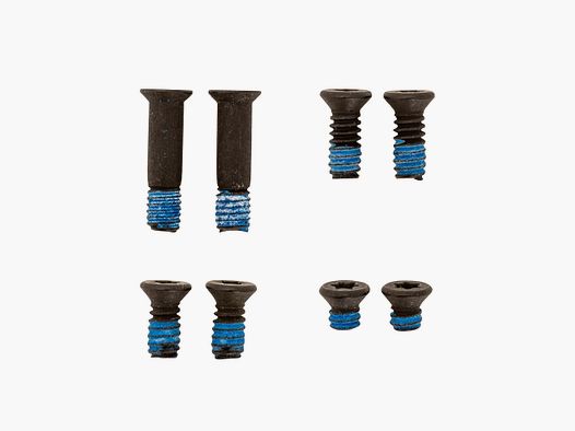 Screw Kit Optik Montage HS Echelon