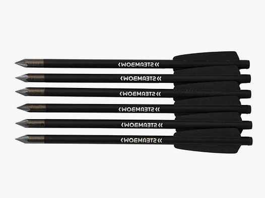 Stinger Bodkinpfeile 6er Set Steambow