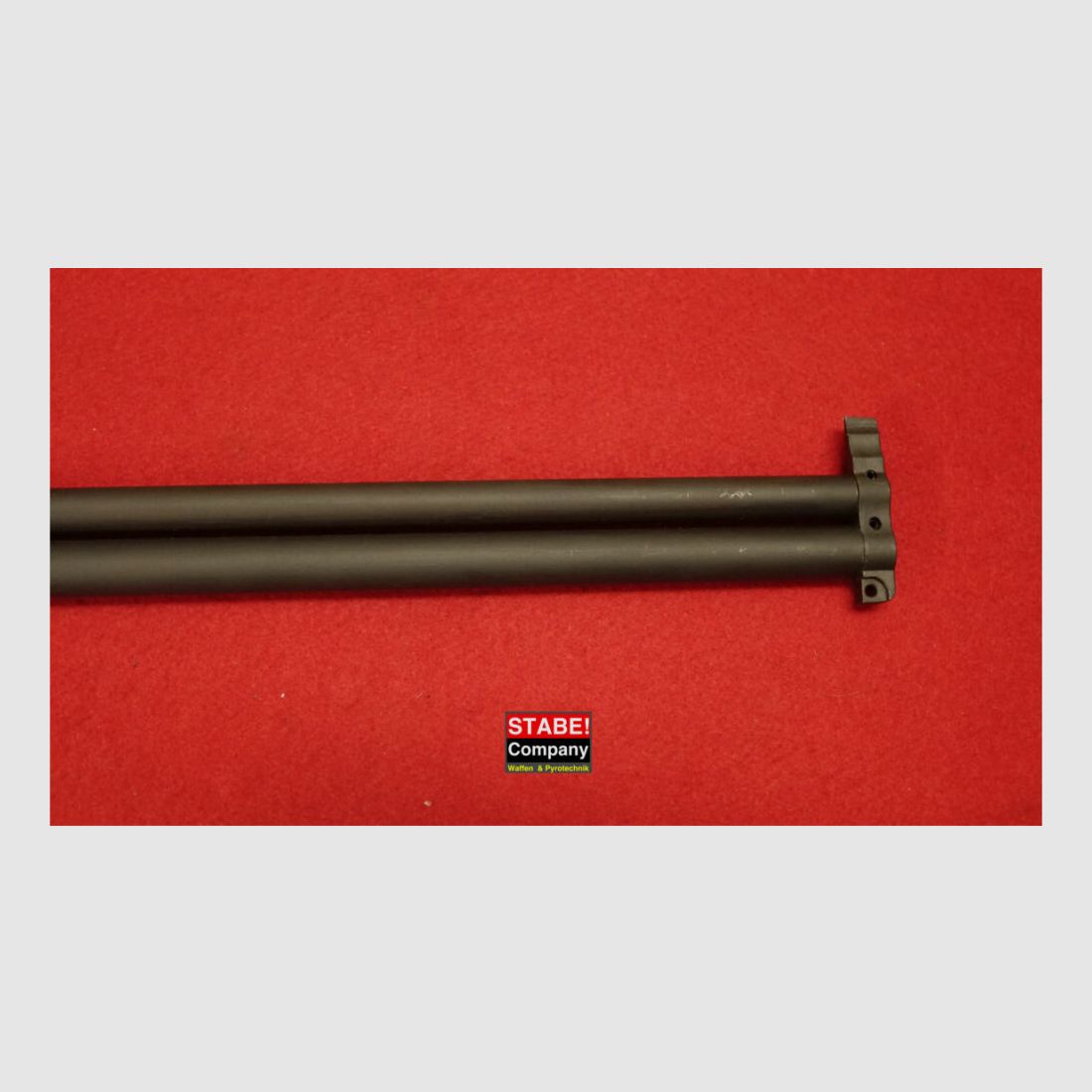 Springfield / CZ Scout M 6