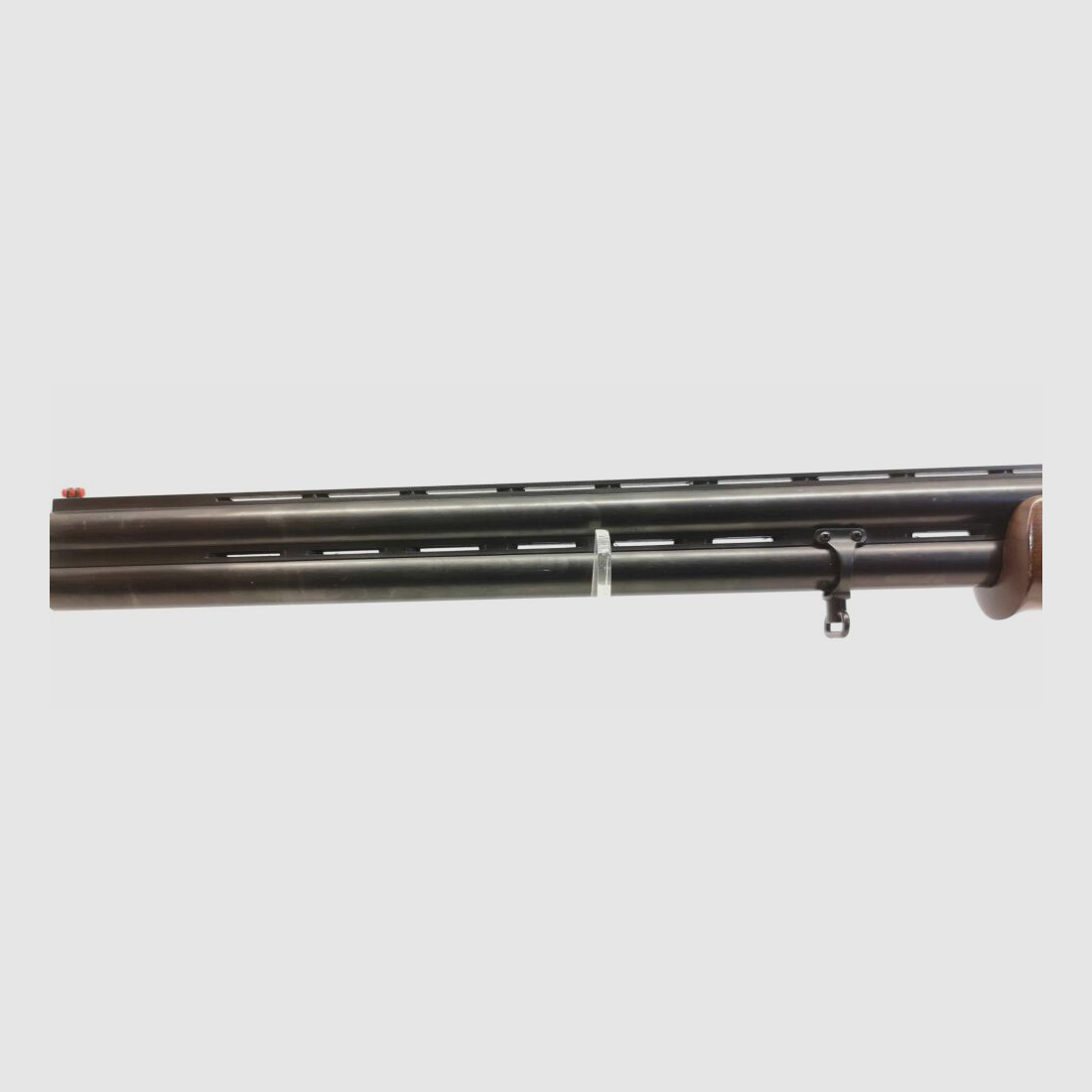 Rizzini zonder