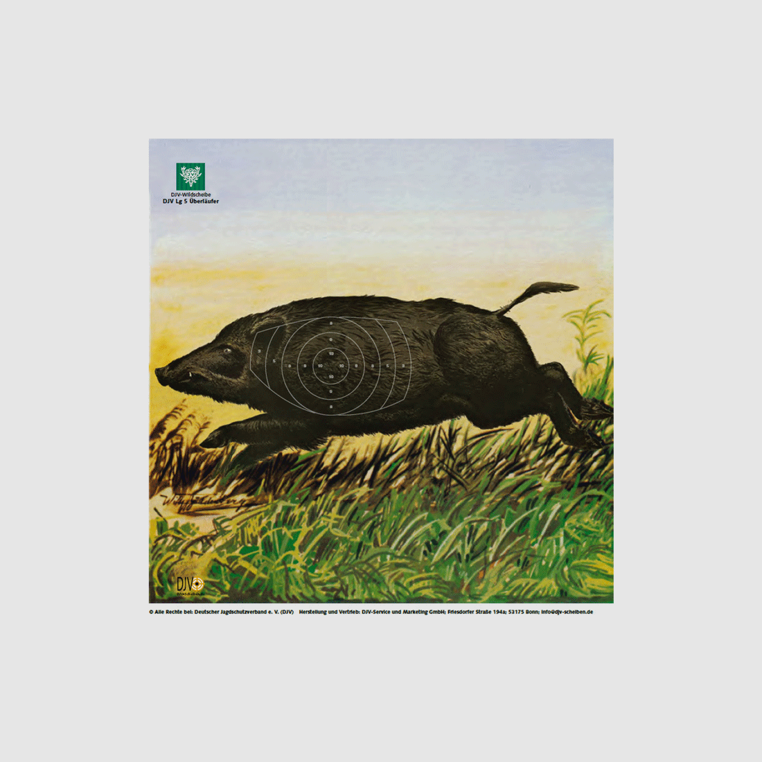 DJV Luchtgeweer Doel Nr. 5 (Vluchtige Overloper, 10m, 100 stuks)