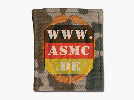 Onbekend Fritzsch Prestatiebadge BW Fleckdesert