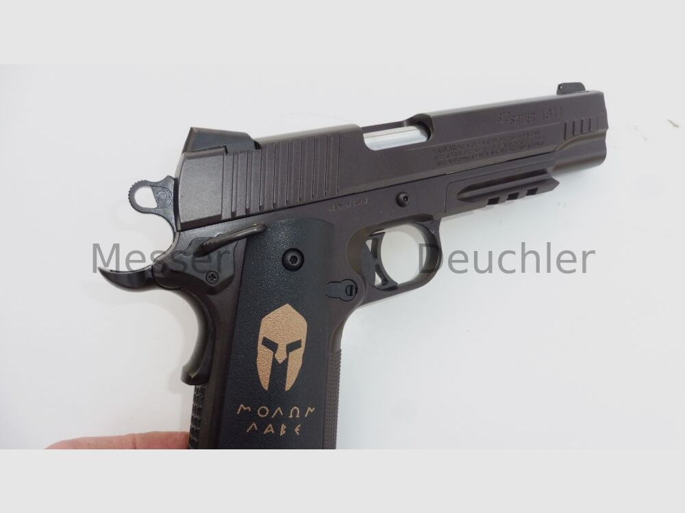 Sig Sauer 1911 Spartan