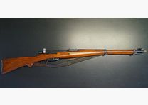Karabiner 31