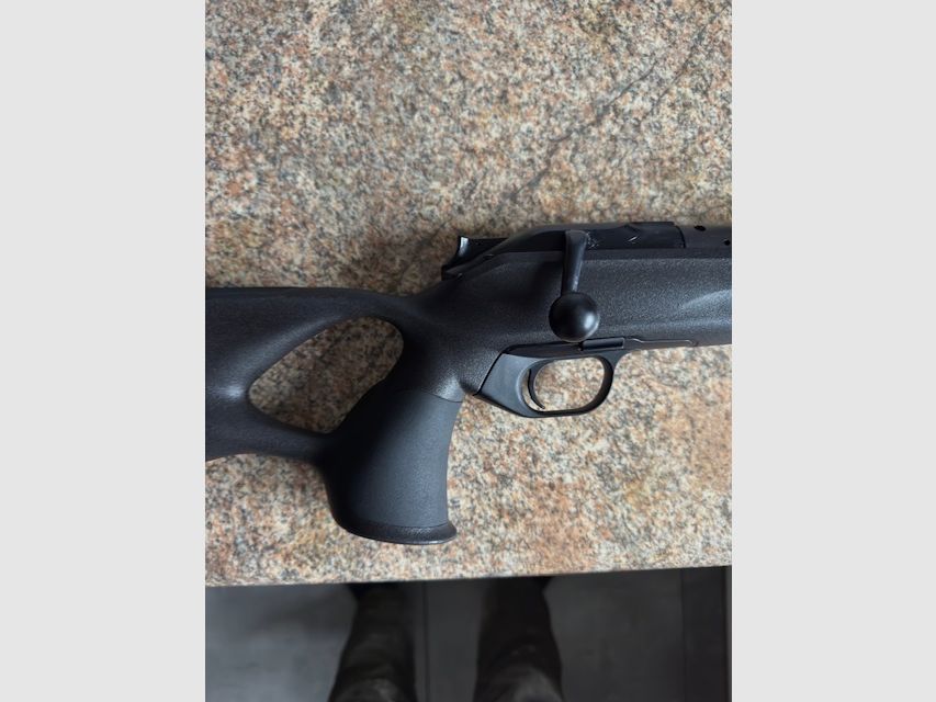 Blaser R8 Professional Success