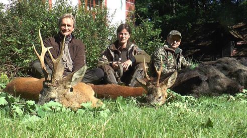 Sauen hautnah und starken Bock in Pommern erlegt! Piglets at 30 feet & trophy roebuck downed