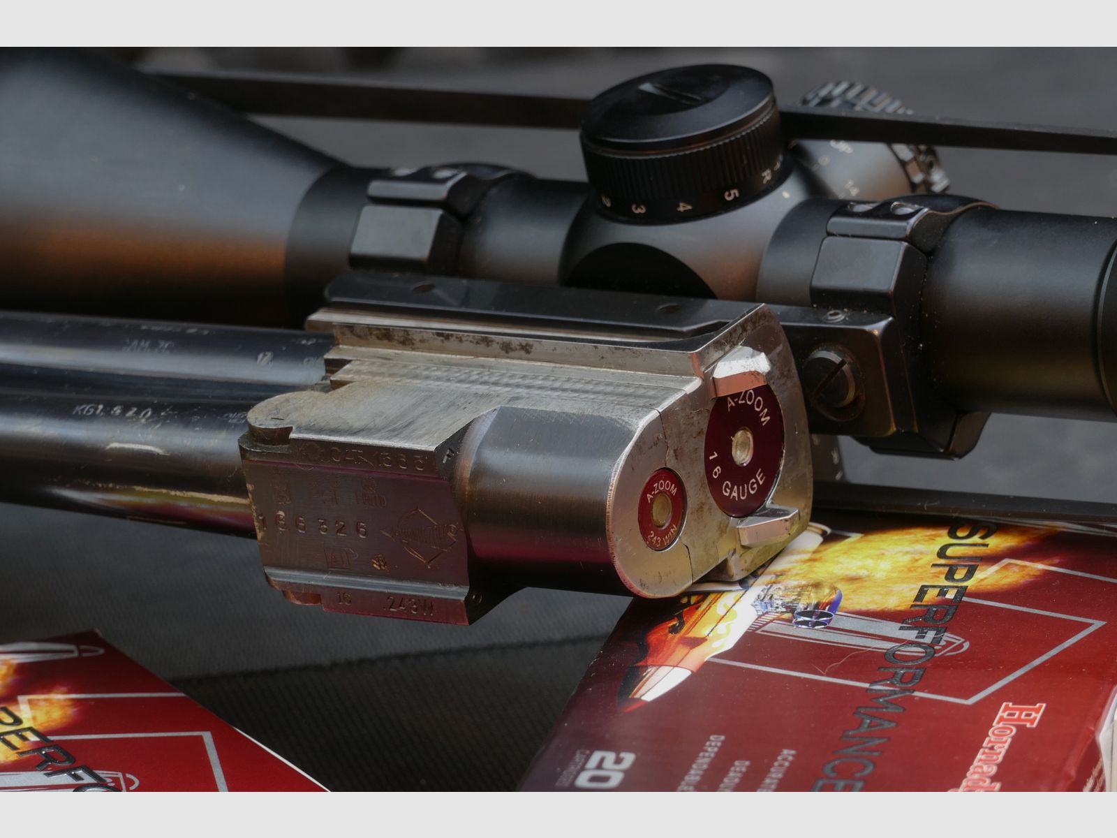 Antonio Zoli BBF in .243Win und 16/70