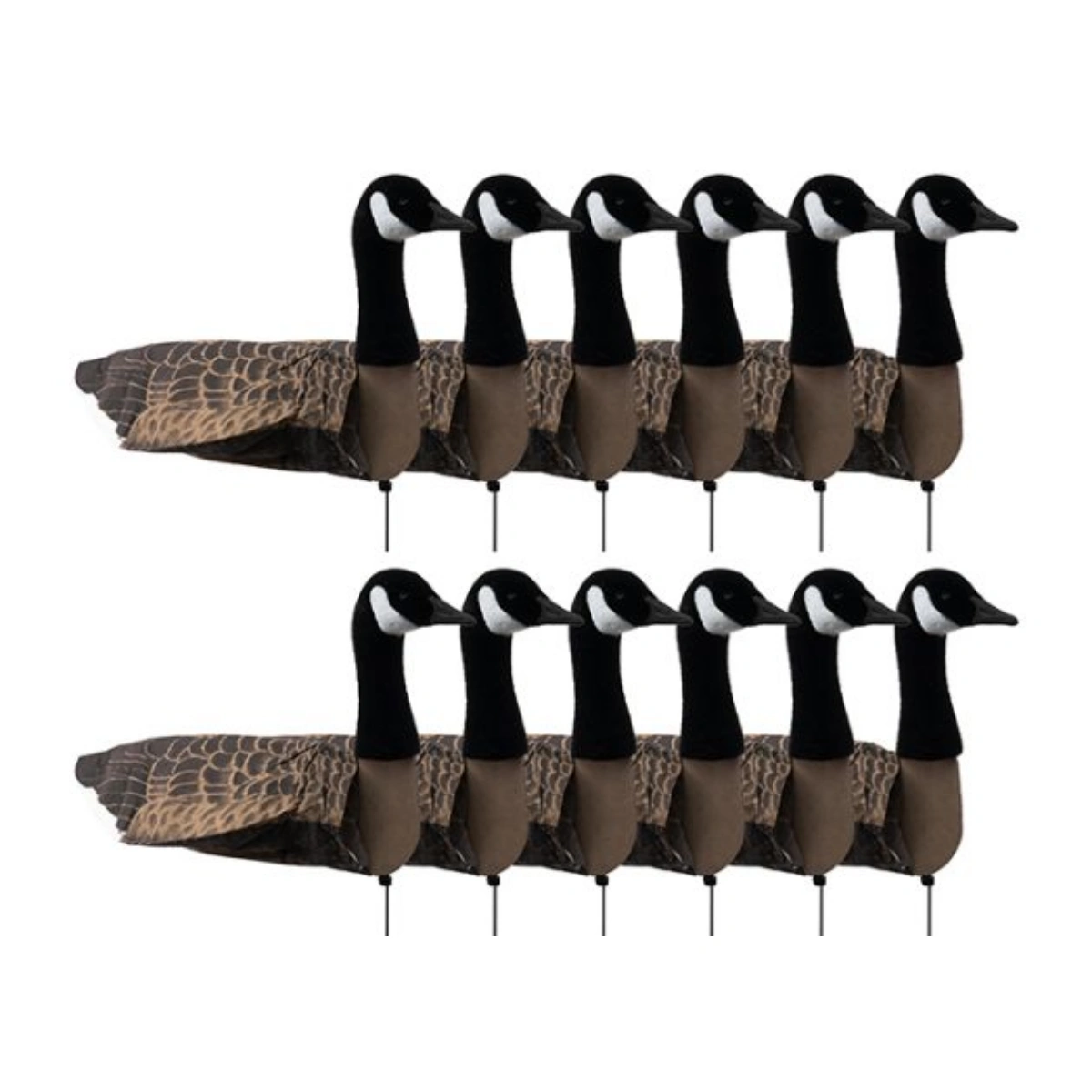 Sillosocks Kanadagans majestätisch 12er-Pack, Bild 1 von 2