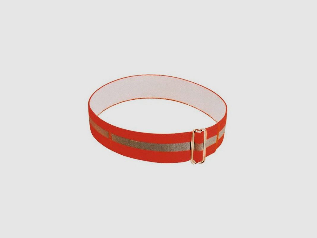 Halsband met hoge zichtbaarheid en gesp