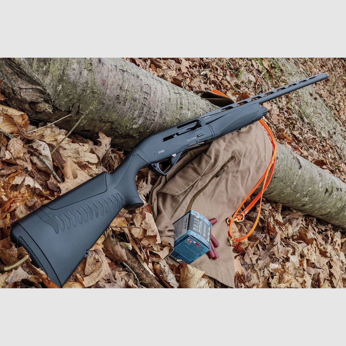 Benelli Raffaello Ethos Cordoba AI