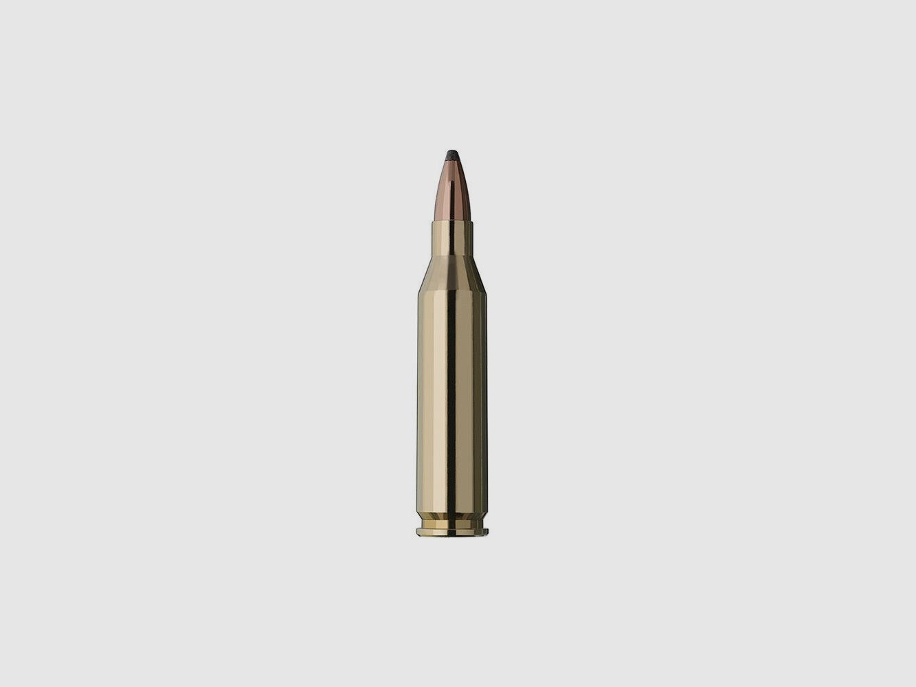 RWS TM Pointe 100grs 20pcs .243Win, image 2 sur 2