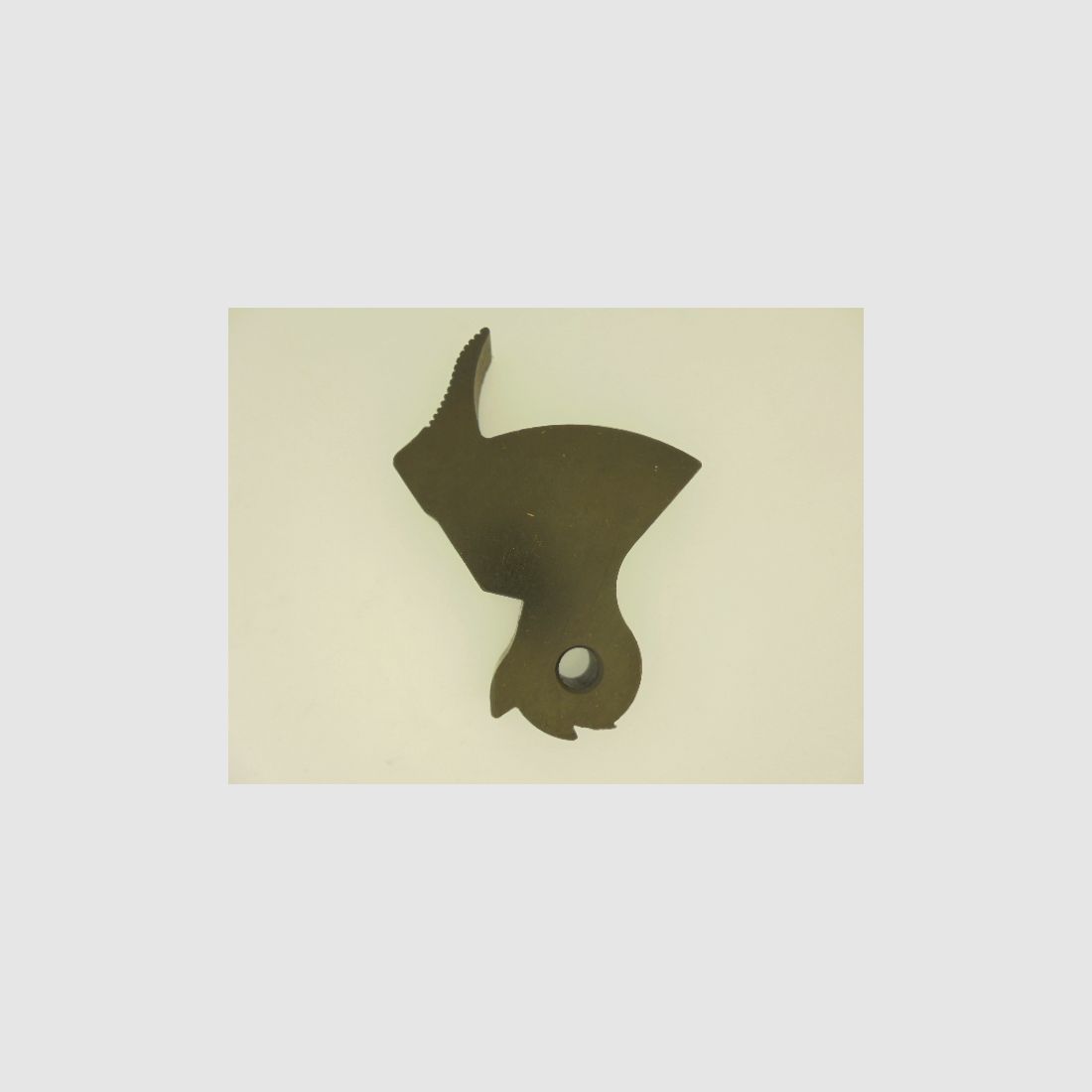 CHIEN ERMA EG 71…., image 1 sur 6