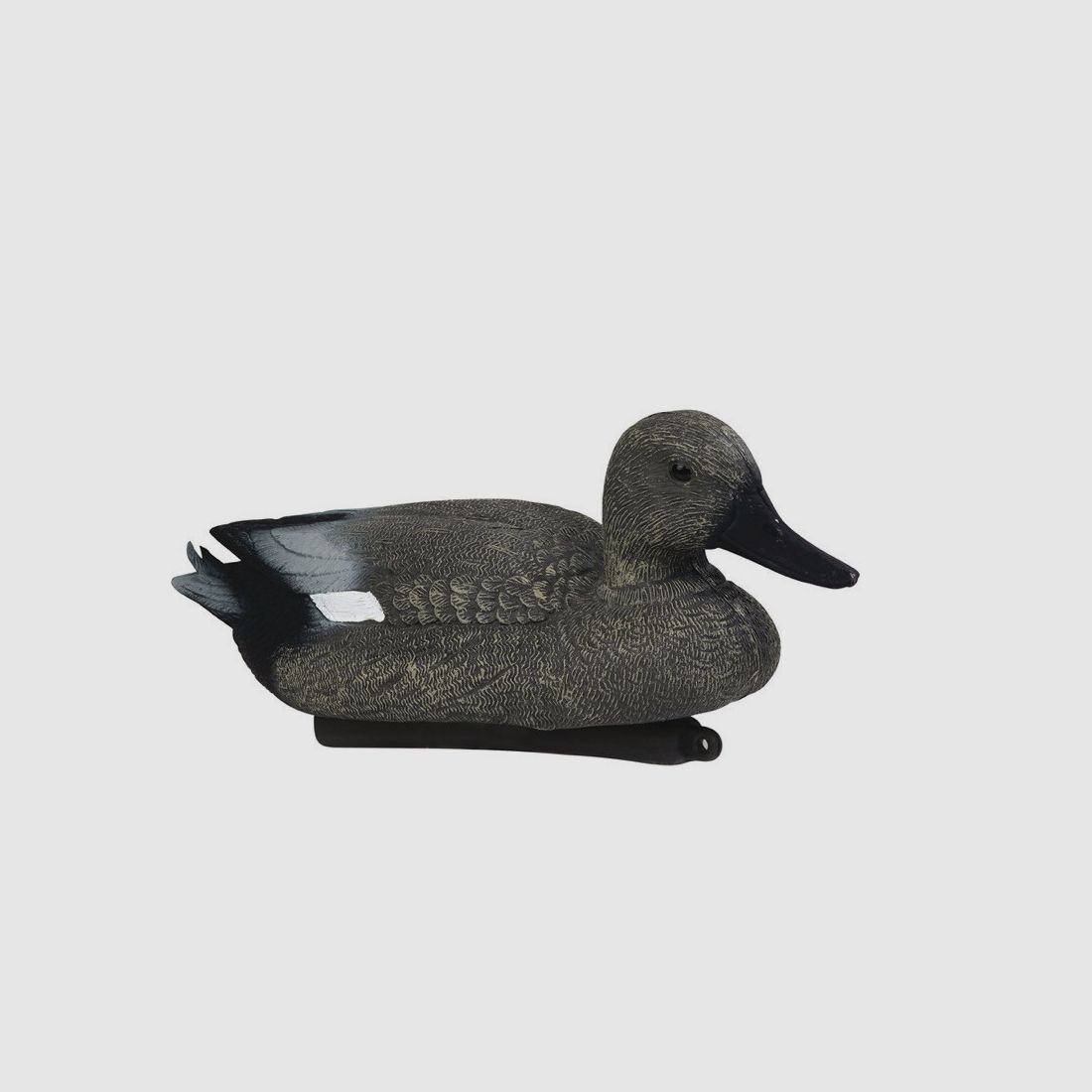 Forme de canard chipeau male Stepland