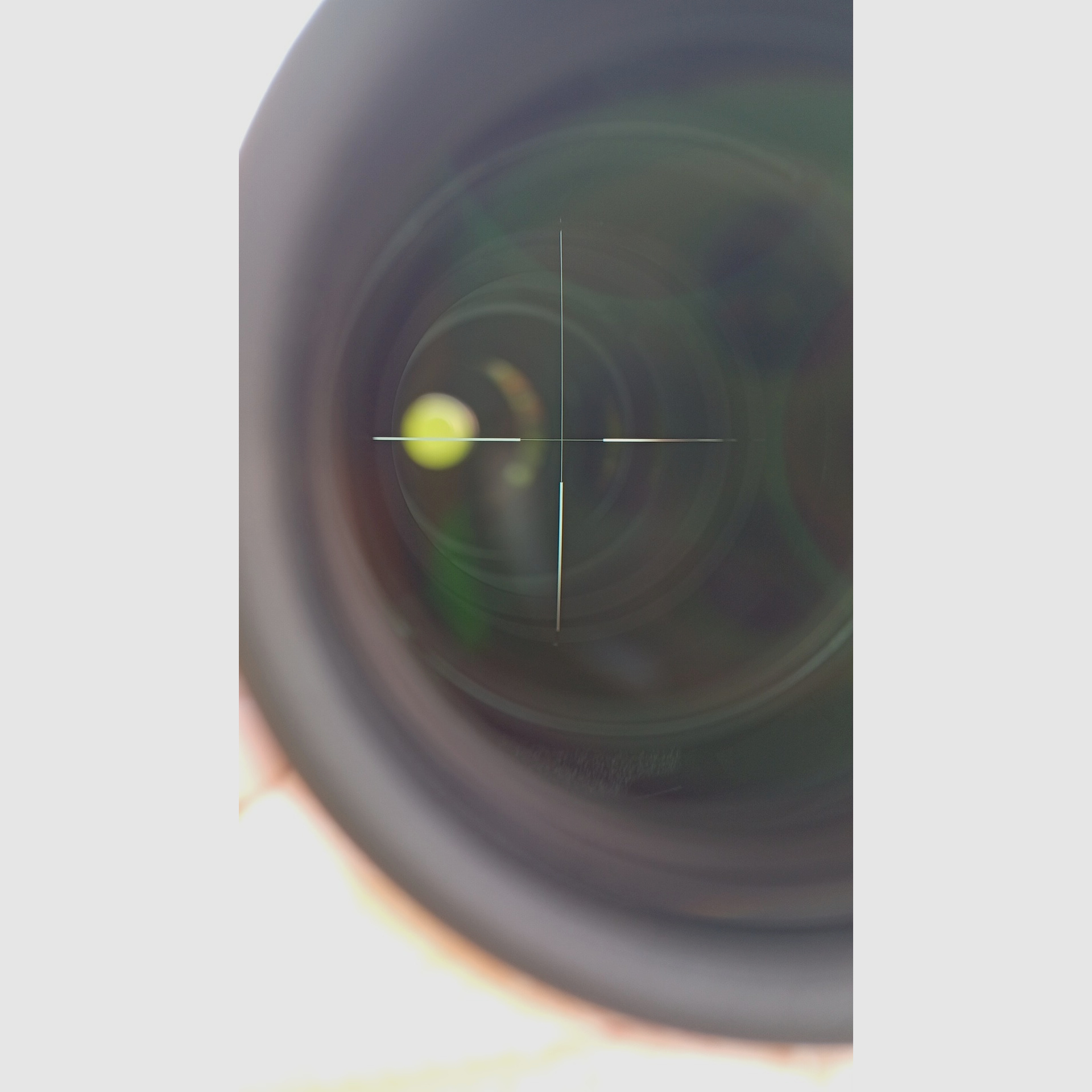 swarovski Z6I scope