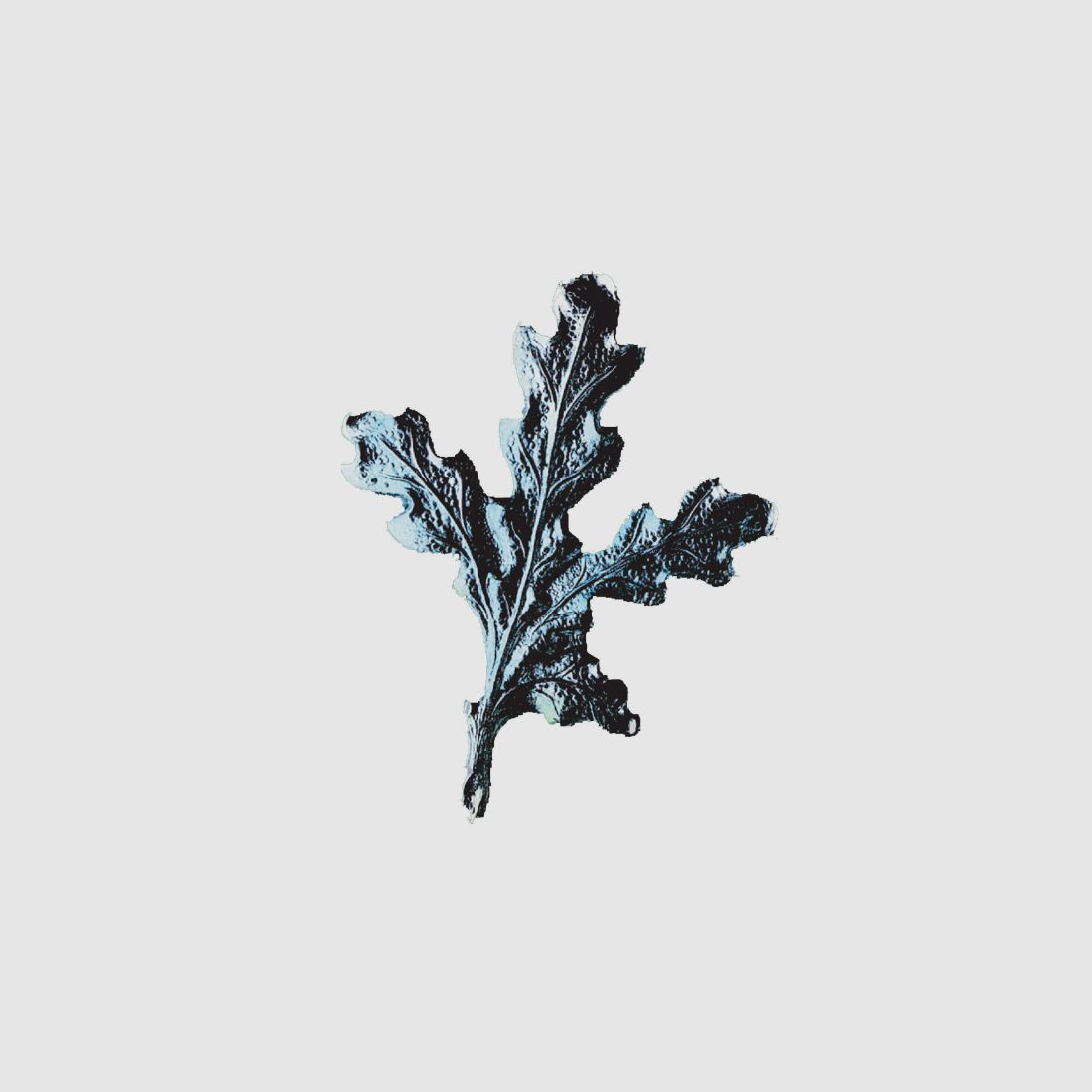 Eichenlaub für Keilerwaffen - Silber 10 Stck.