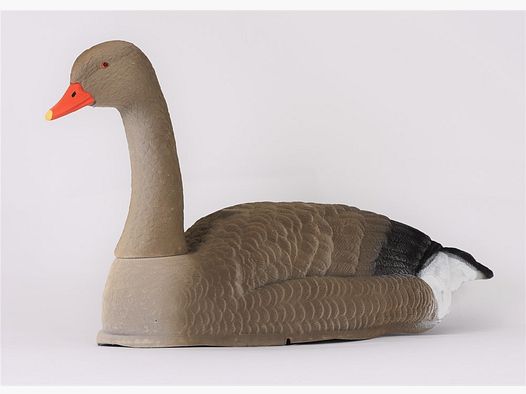 Alces Bulvan Montatura Oca Grigia foderata