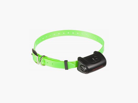 Collier seul Canicom 5 Vert
